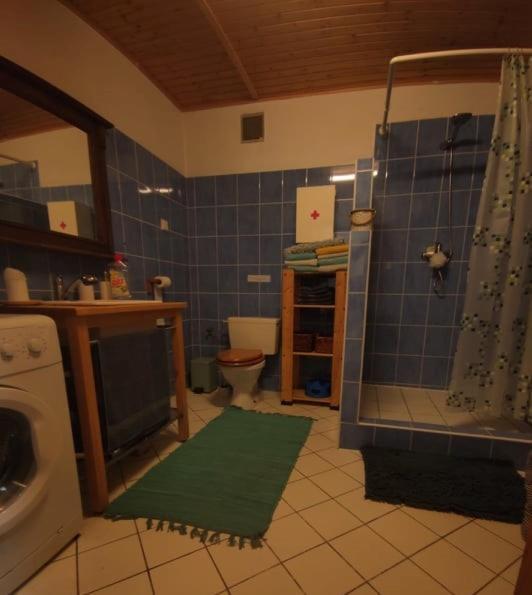 Willa Stodola Cetenov Zewnętrze zdjęcie